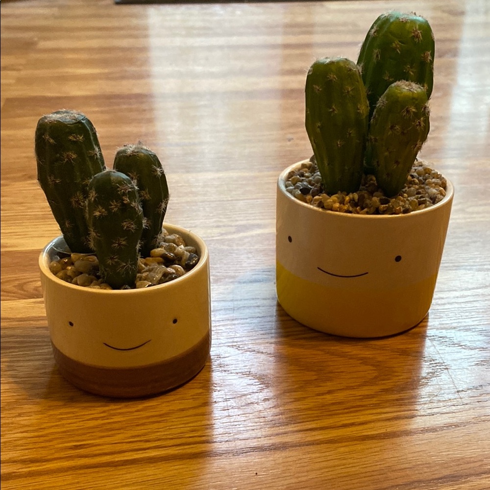 Cute Cactus Planters with Smiley Faces